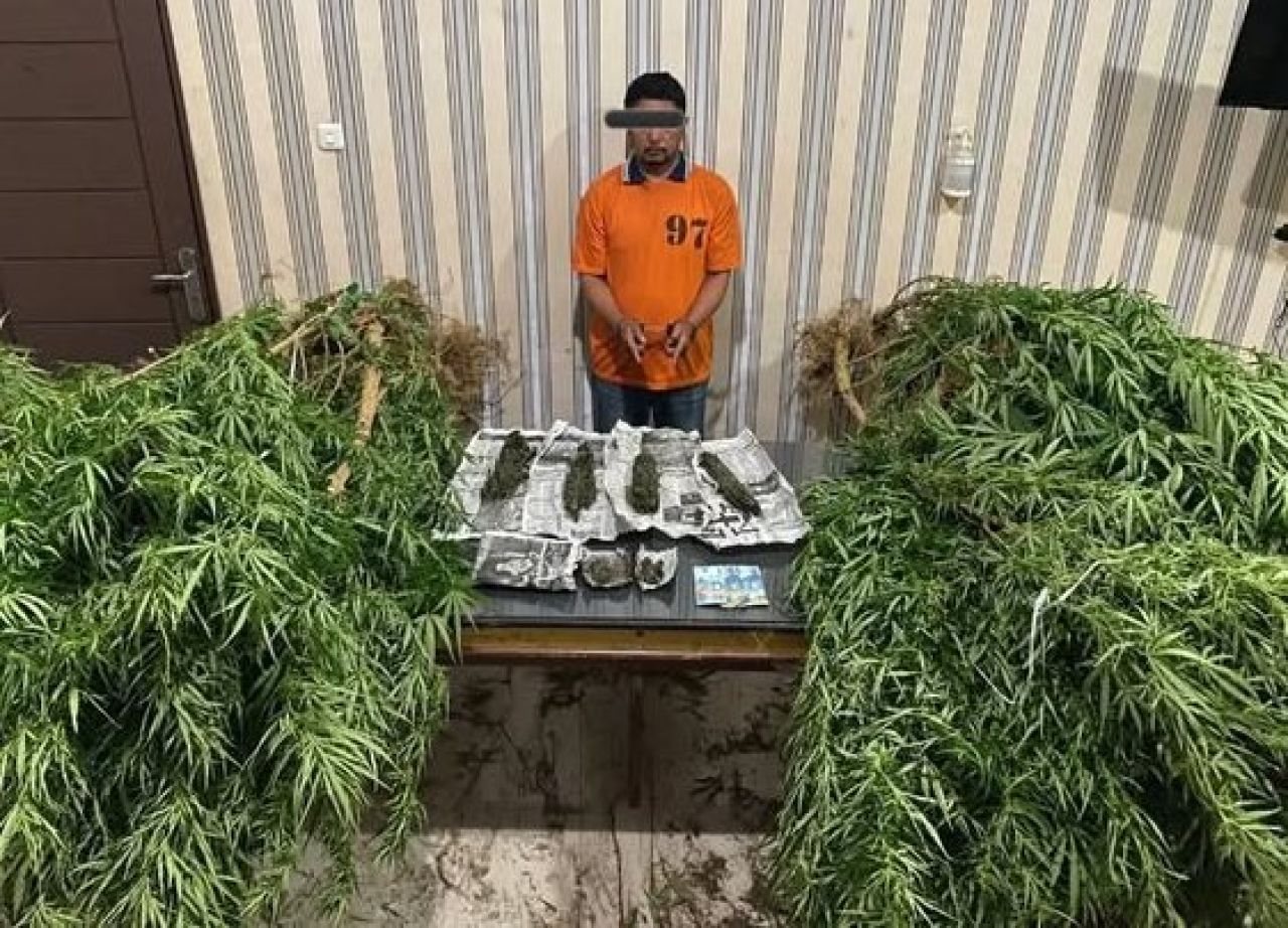 Tersangka dan barang bukti ganja
