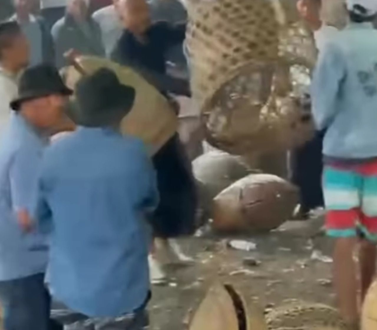 Keributan di lokasi sabung ayam