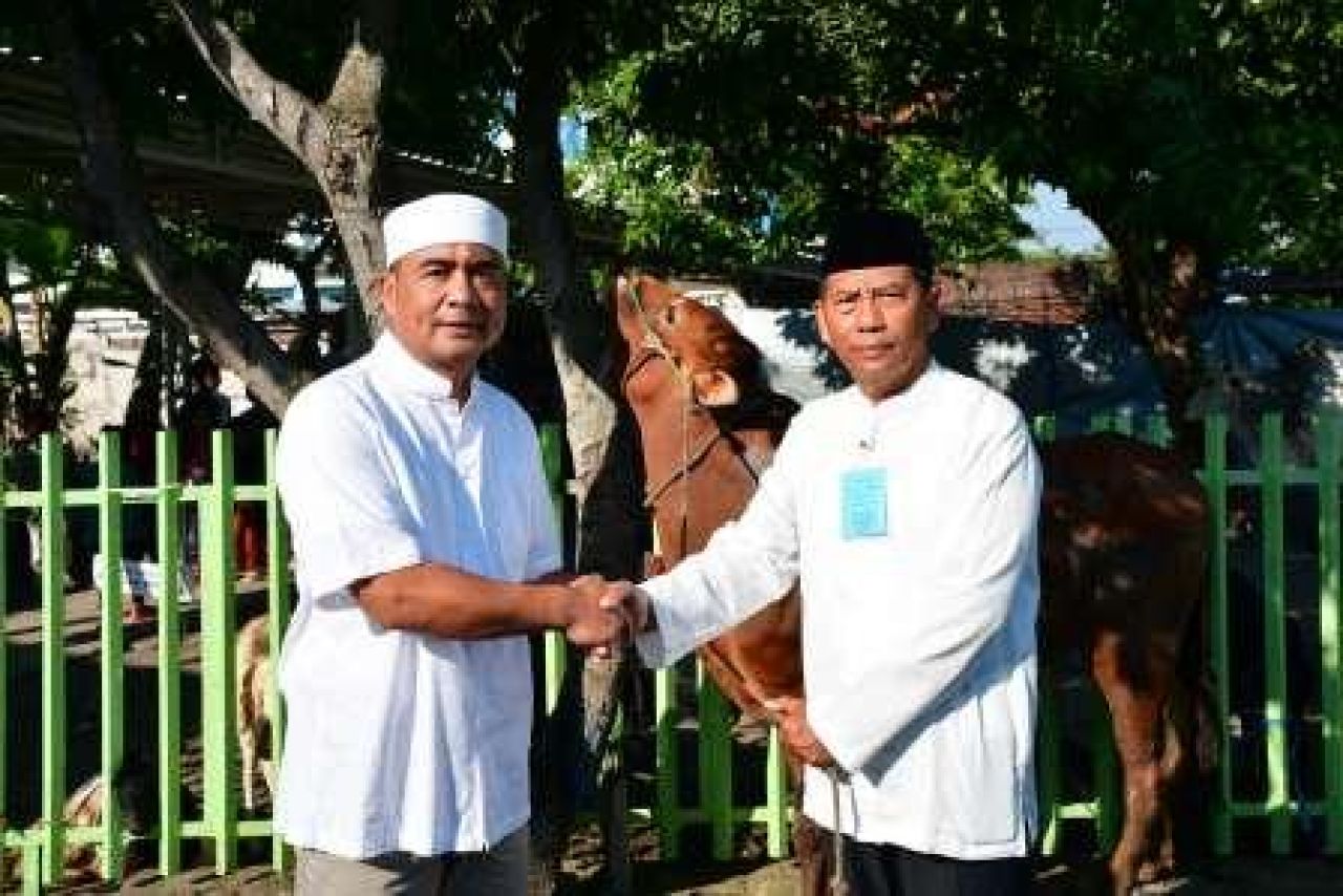 Komandan Puspenerbal Serahkan Hewan Kurban Usai Pelaksanaan Sholat Idul Adha 1446 H