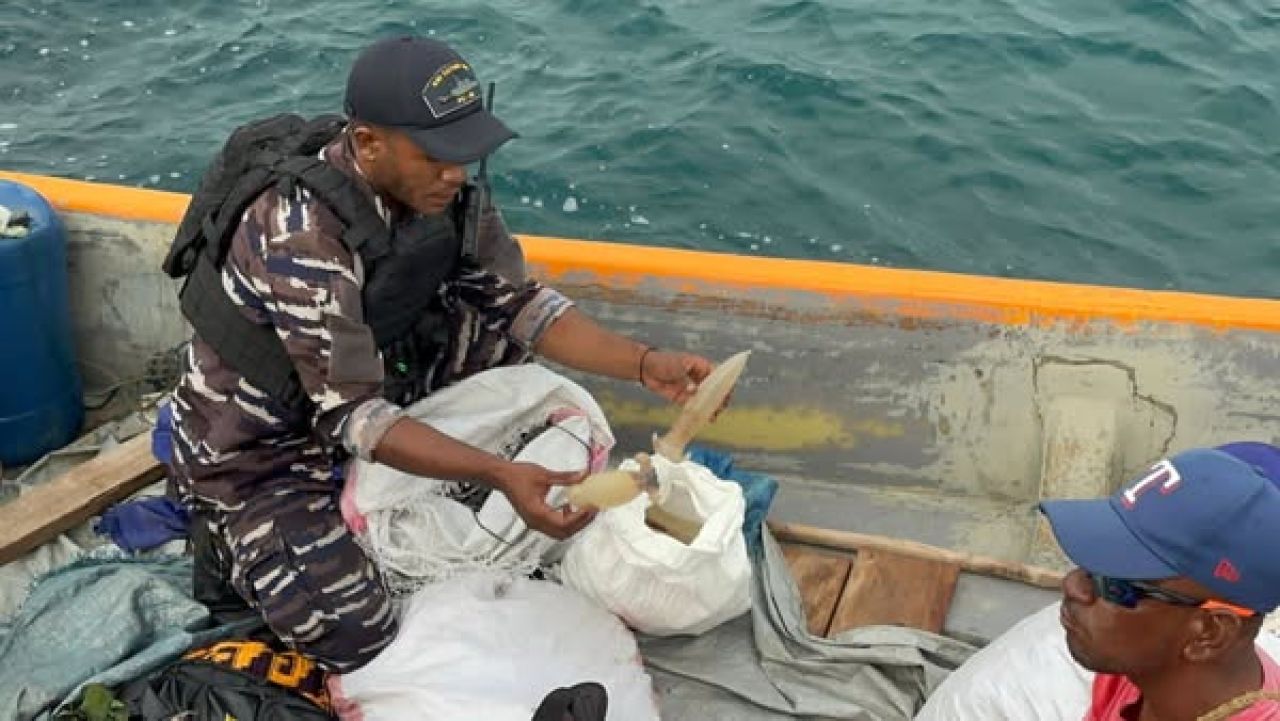 Anggota Lantamal X Jayapura memeriksa gelembung ikan