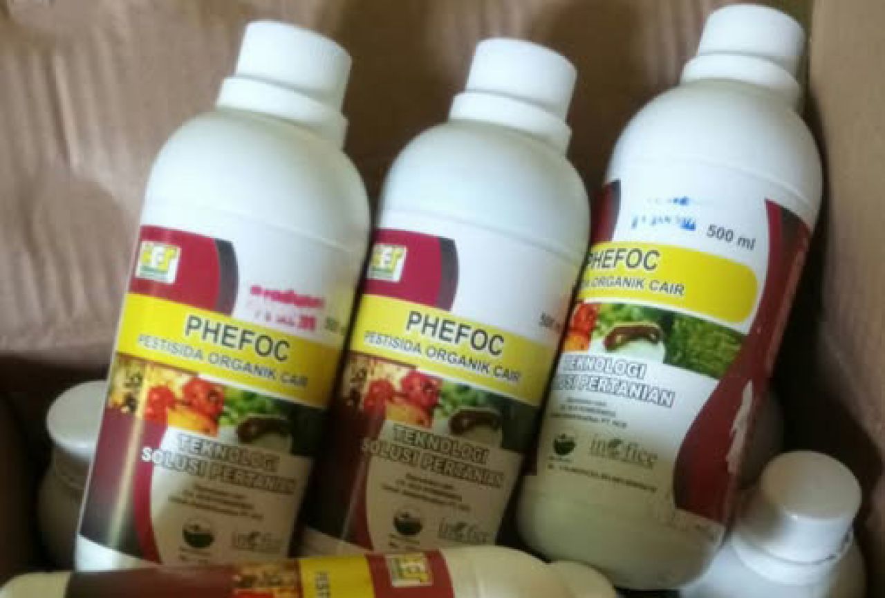 Diduga Produksi Pestisida Cair merek PHEFOC Tanpa Izin Edar, Sukawan Widhartono Dituntut 8 Bulan Bui