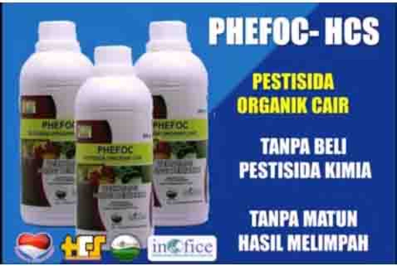 Diduga Edarkan Pestisida Cair Tanpa Label Resmi, Pendiri PT Hidup Cerah Sejahtera Dituntut 8 Bulan