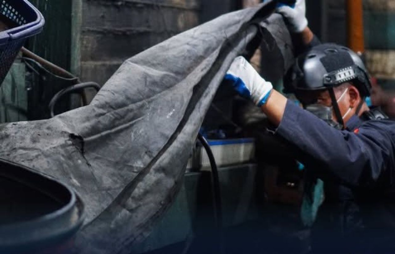 Penyelundupan satwa ilegal