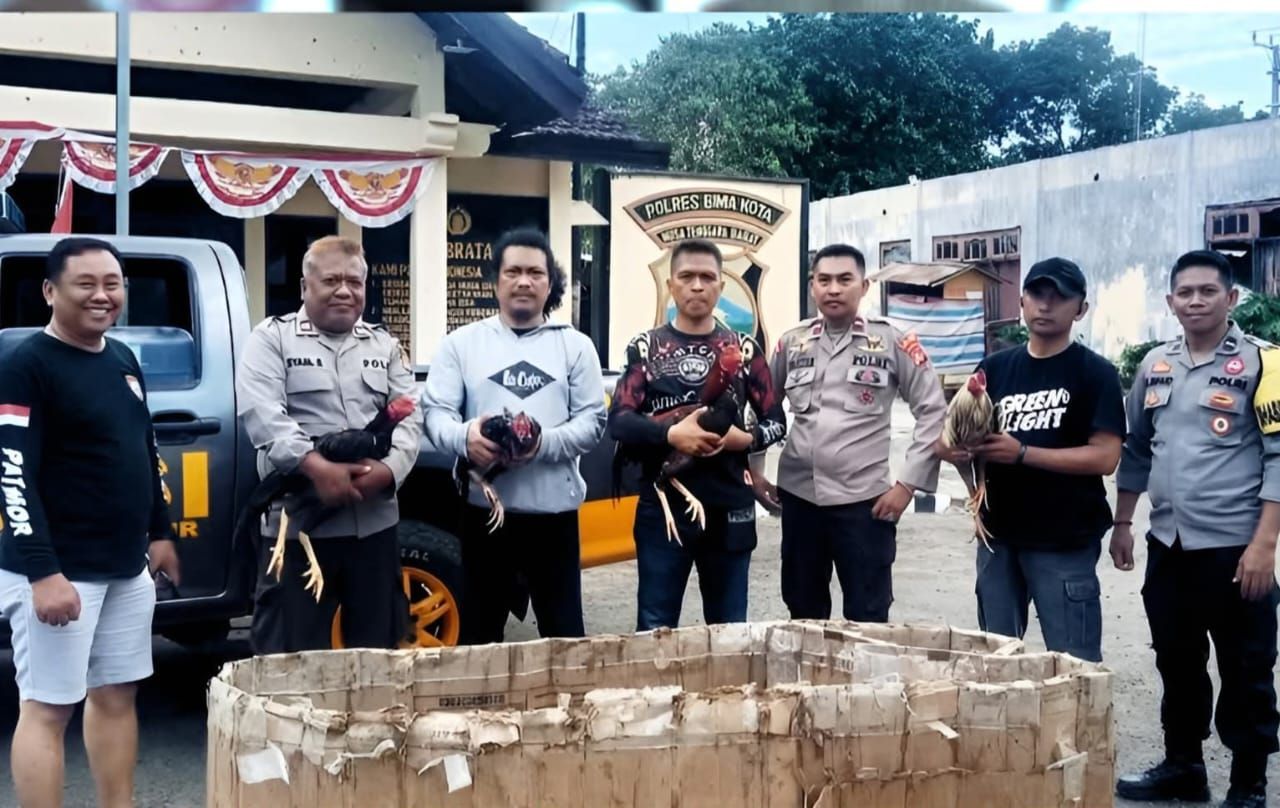 Ayam jago yang diamankan Polisi