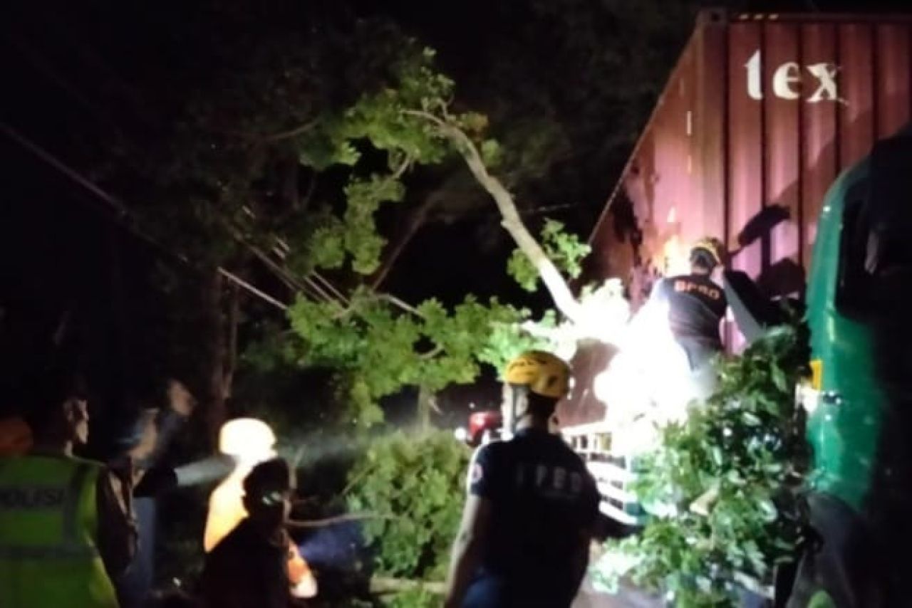 Pohon tumbang menimpa kap truk