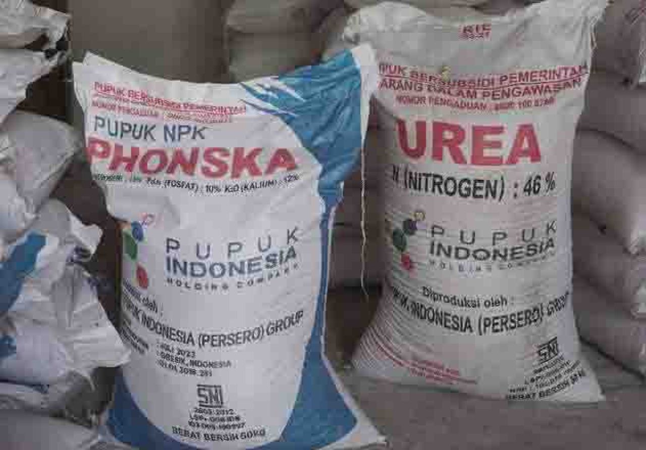 Pupuk jenis Urea dan NPK Phonska