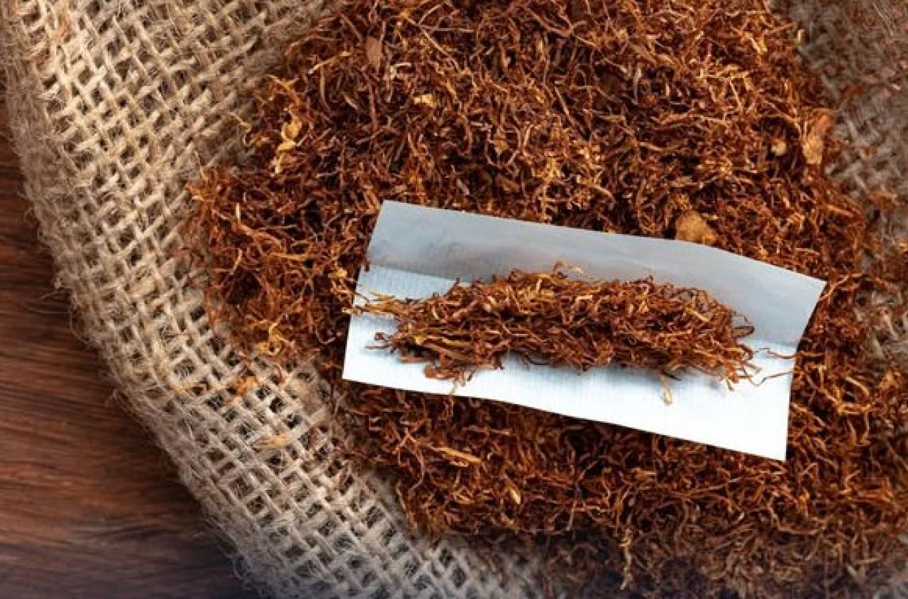 CV Cakrawala Sentausa