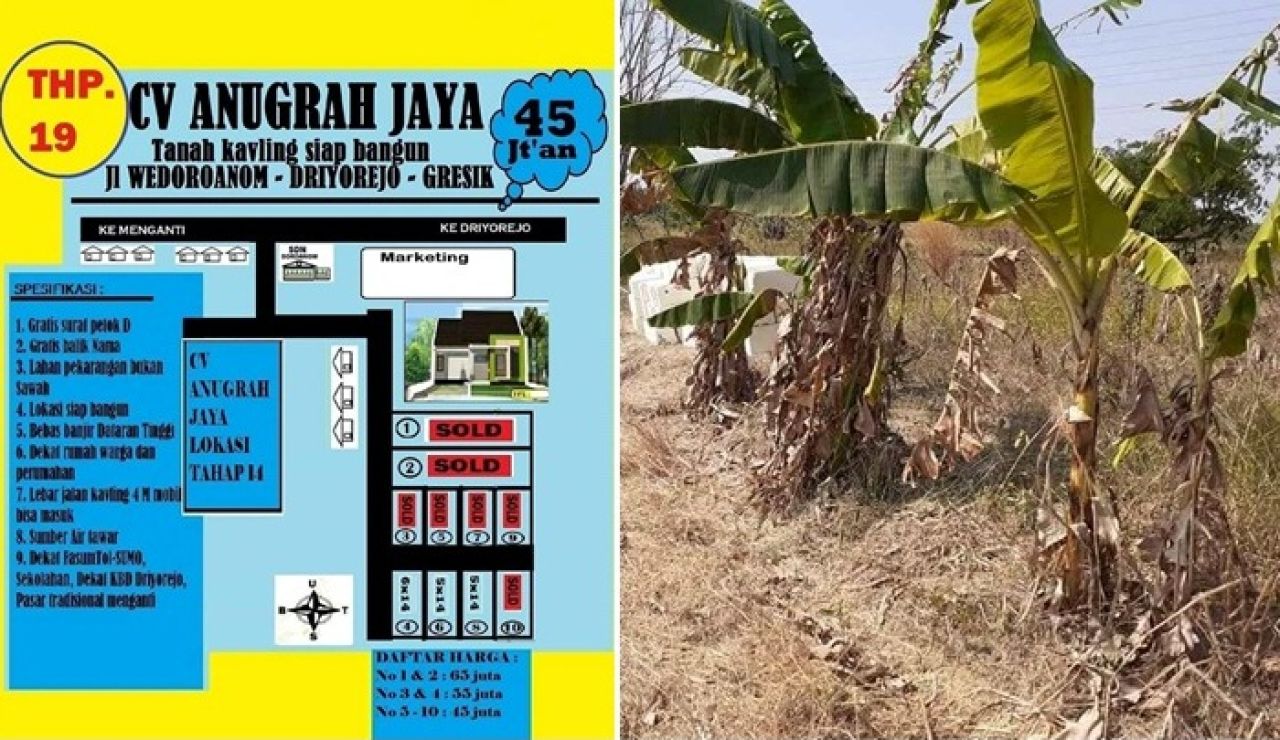 Tanah Kavling CV Anugerah Jaya di Desa Wedoroanom