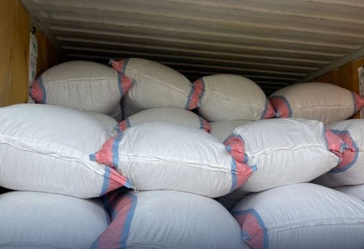 Ekspor Pala ke Belanda