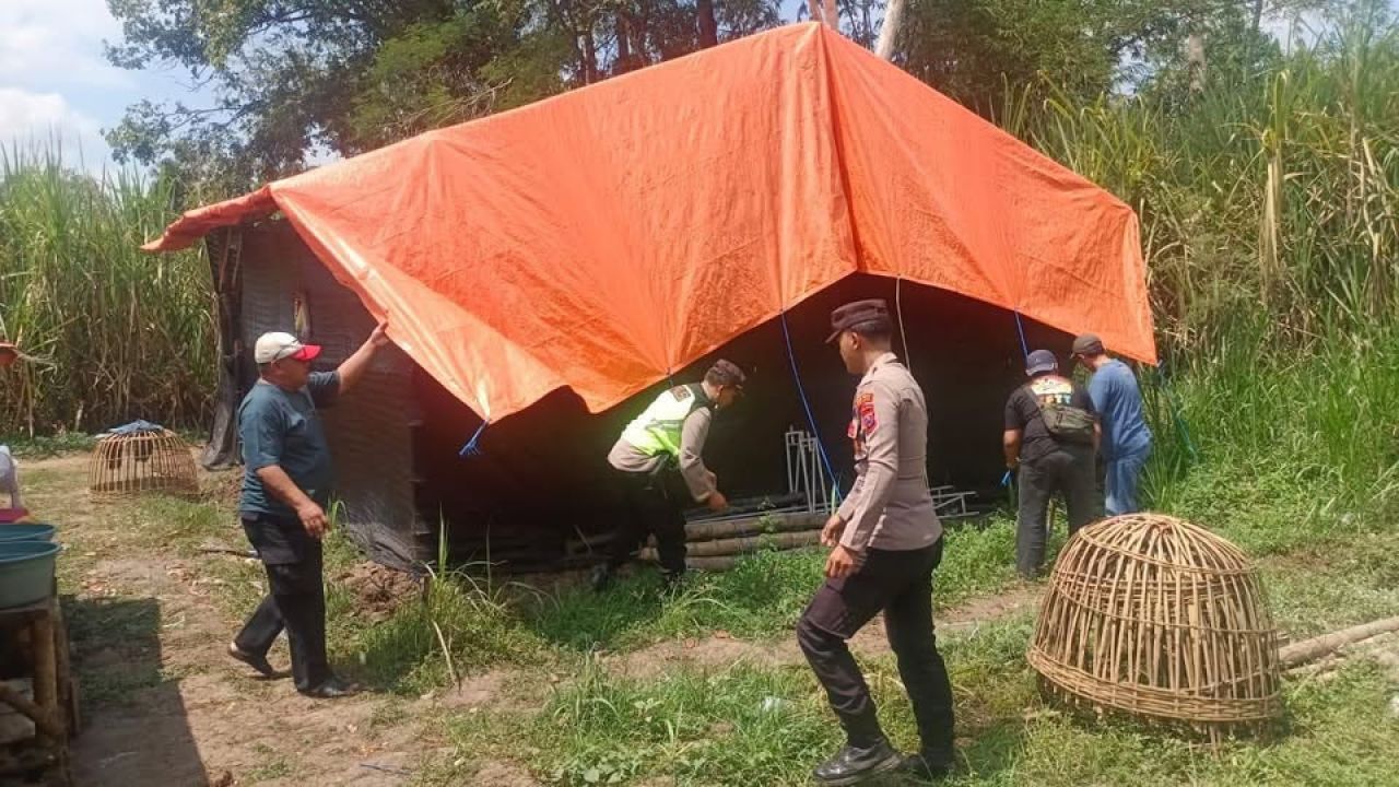 Pembongkaran arena judi sabung ayam di Malang