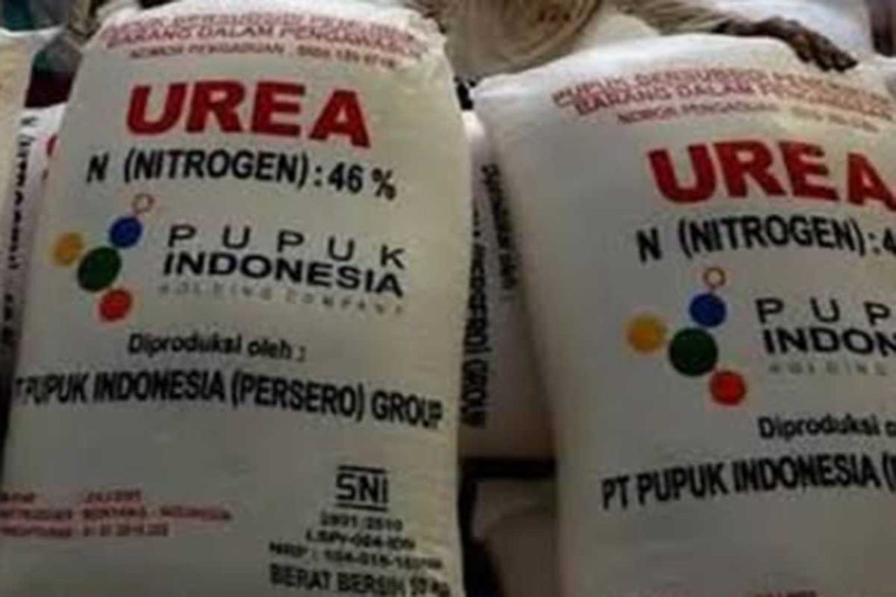Pupuk Urea