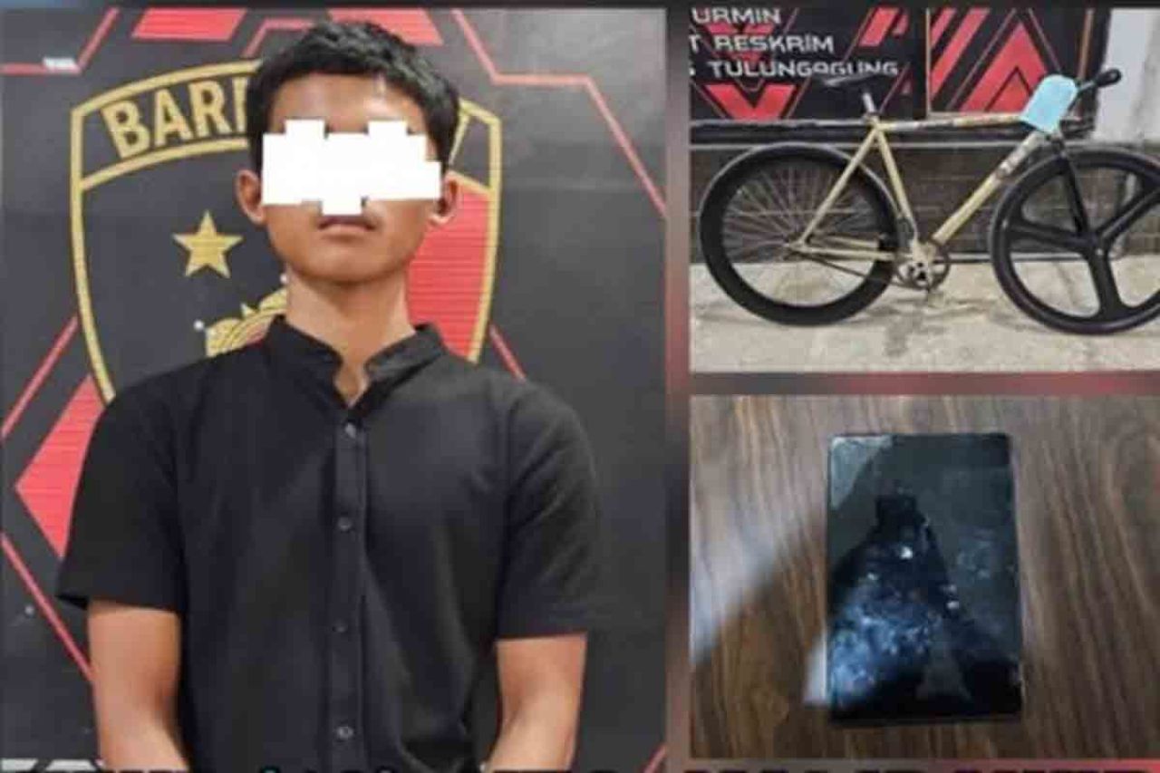 Pelaku pencurian yang berinisial WWP