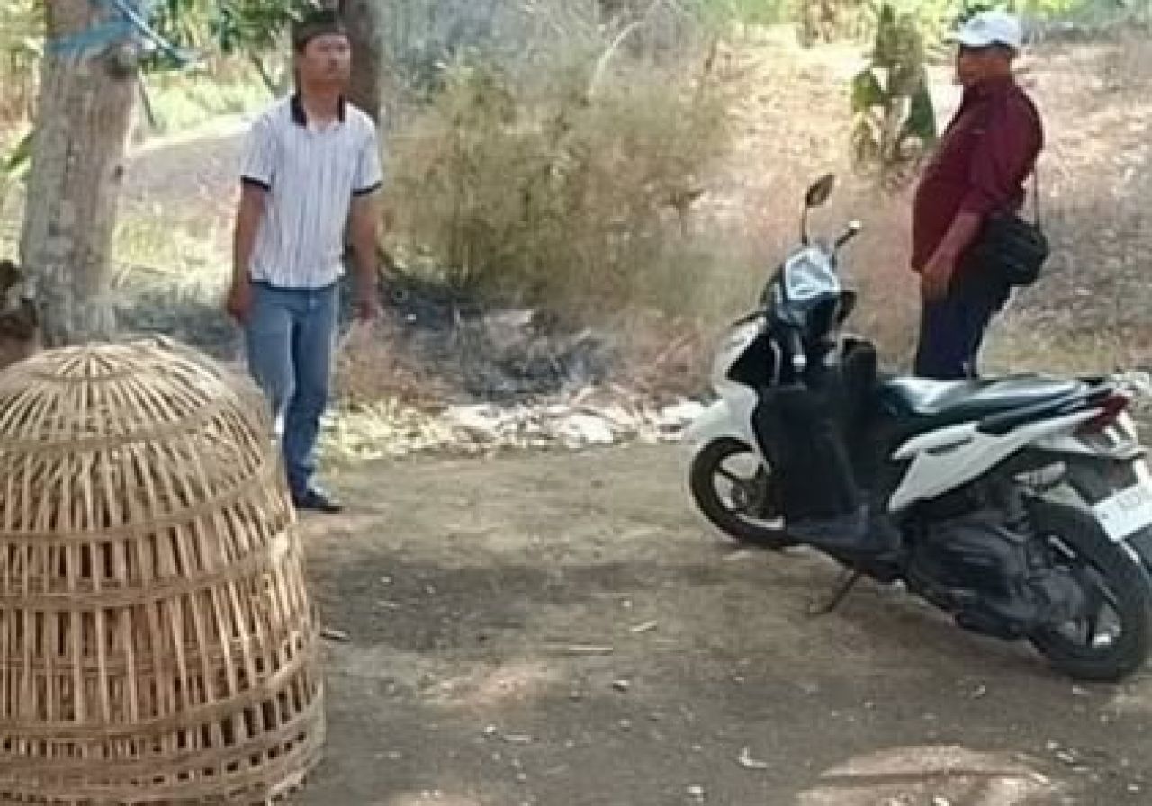 Petugas Unit Reskrim Polsek Menganti grebek arena sabung ayam di Dusun Bongso Wetan