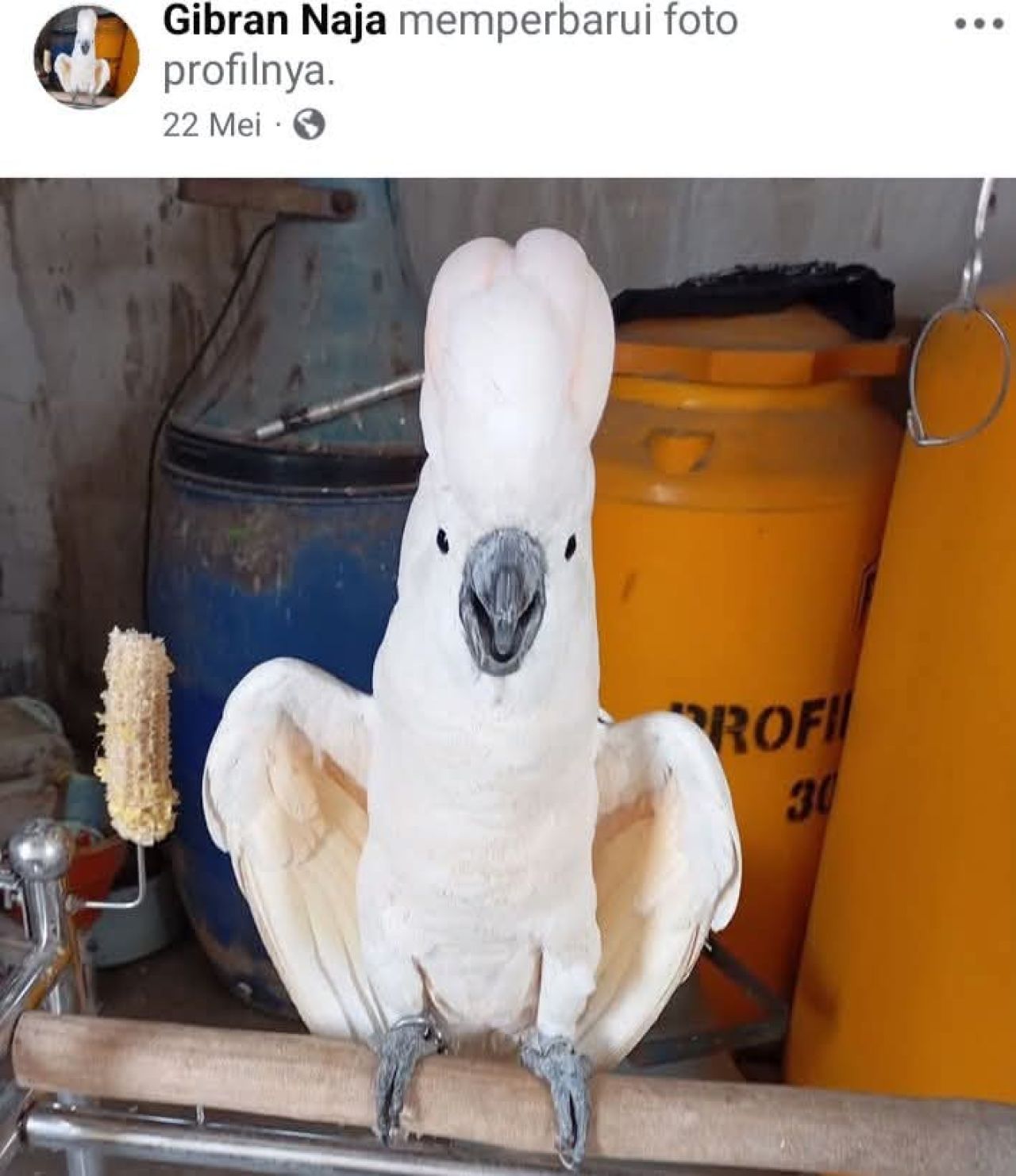 Akun Facebook Zainal Arifin