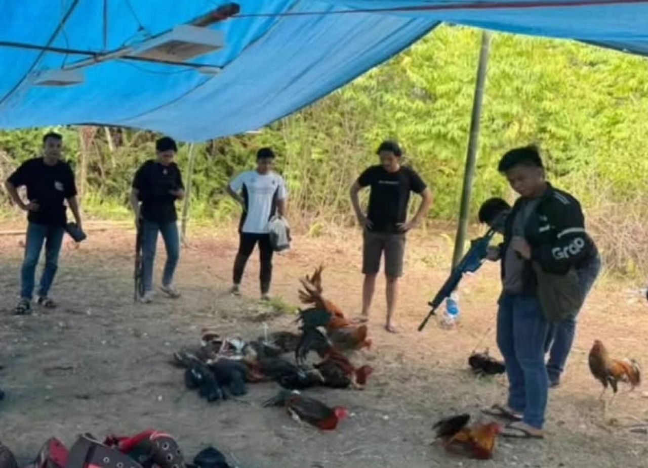 Polres Minahasa Utara di lokasi arena sabung ayam