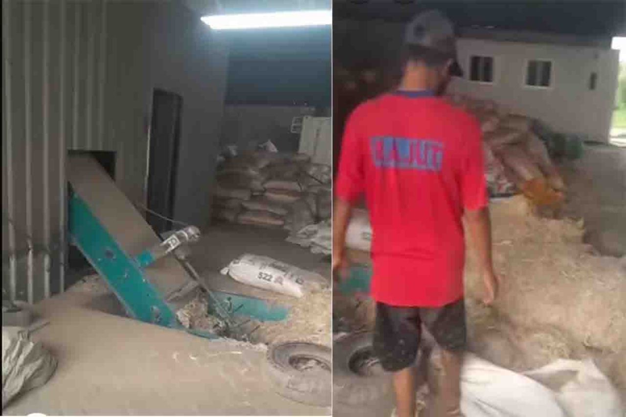 Pabrik pengolahan bulu ayam di KM 28 Dusun Krikilan