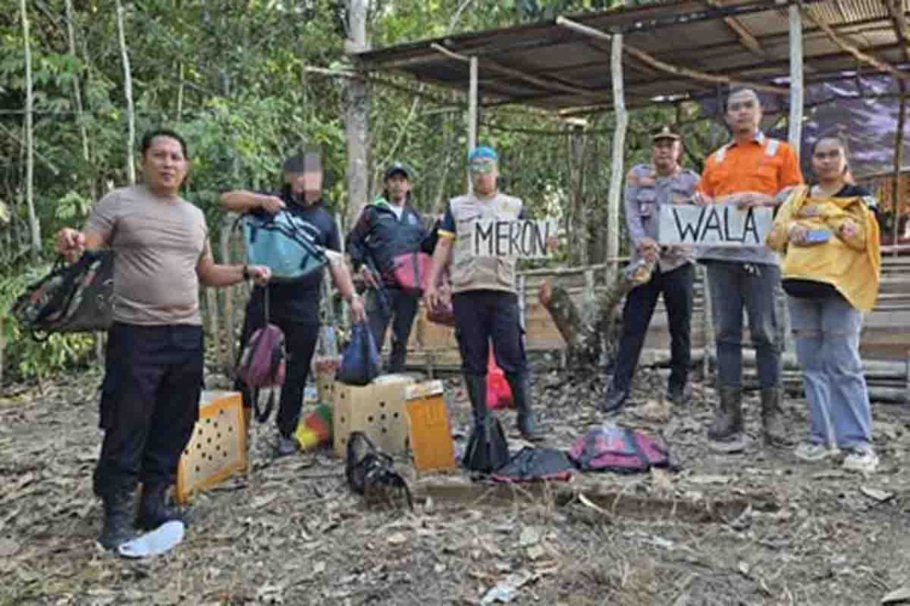Petugas Polsek Loa Janan saat tertibkan sabung ayam