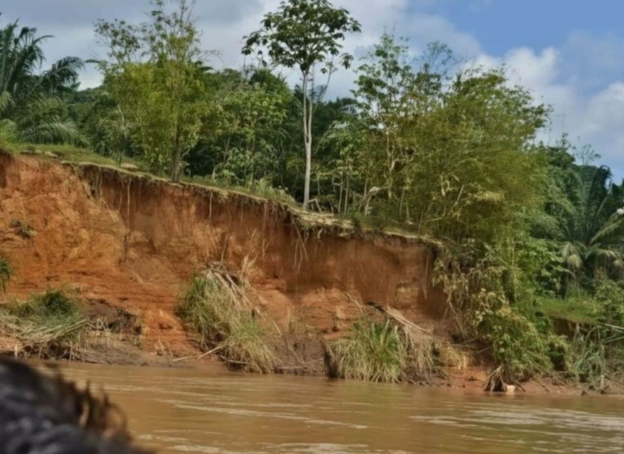 Direktur Utama PT Sumber Hidup Chemindo, Sugiarto Sinugroho