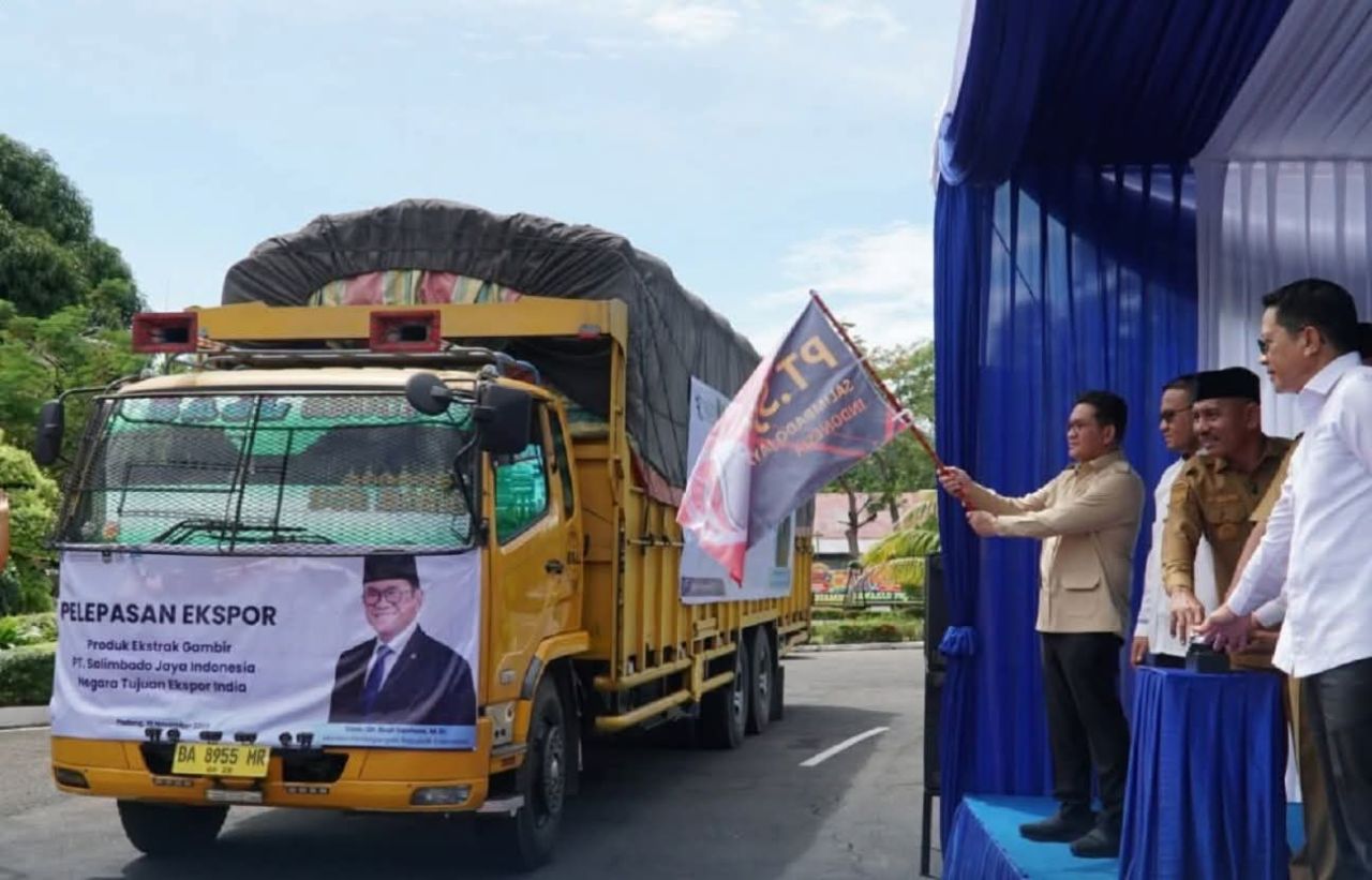 Pelepasan ekspor gambir