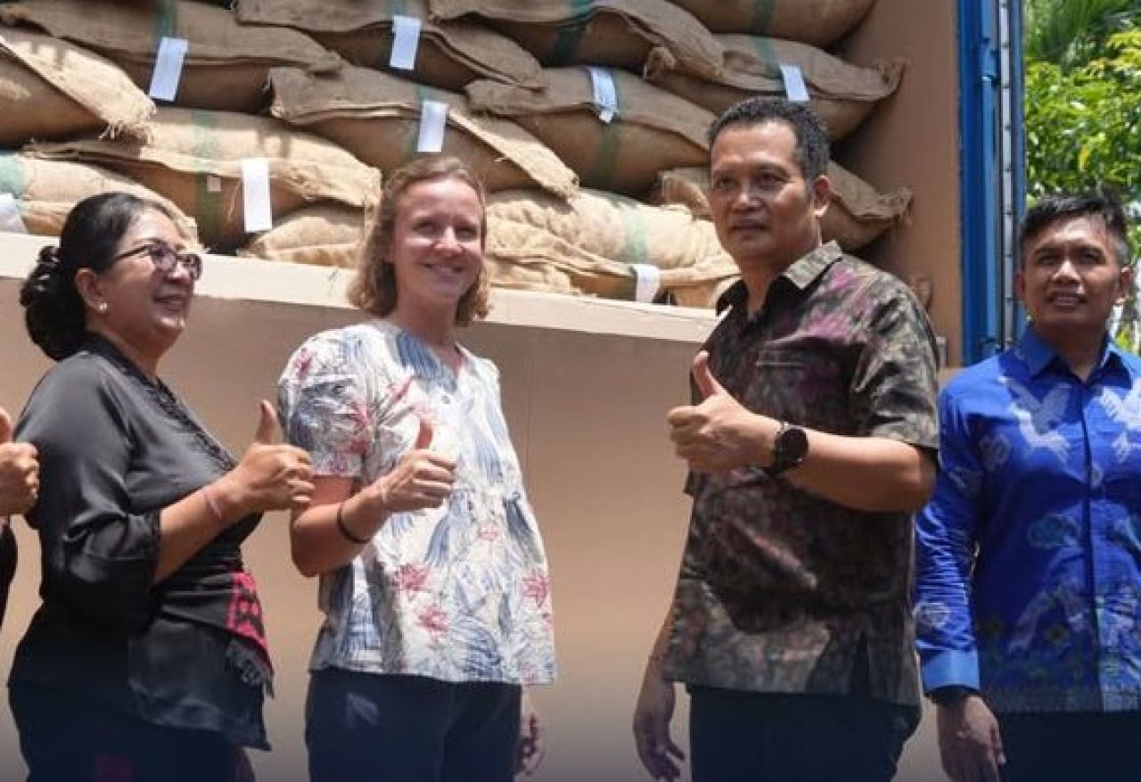 Koperasi Kakao Kerta Samaya Samaniya ekspor kakao