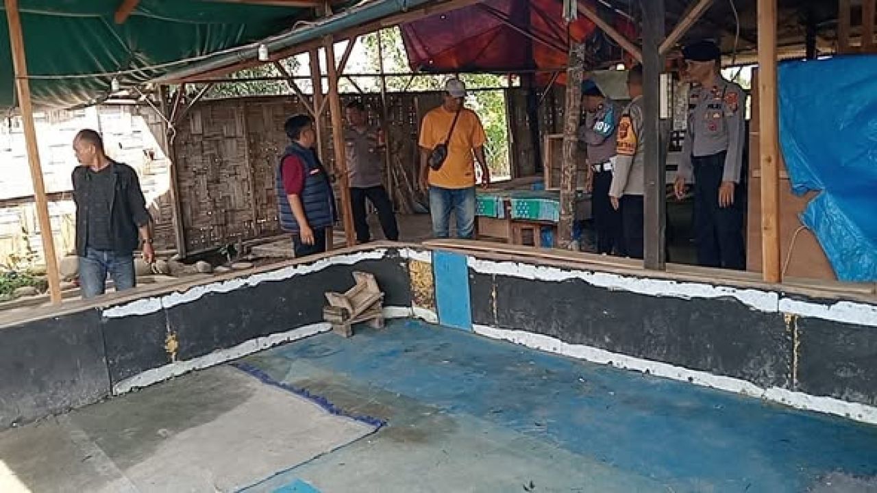 Penggrebekan sabung ayam di Kelurahan Pinang Mancung