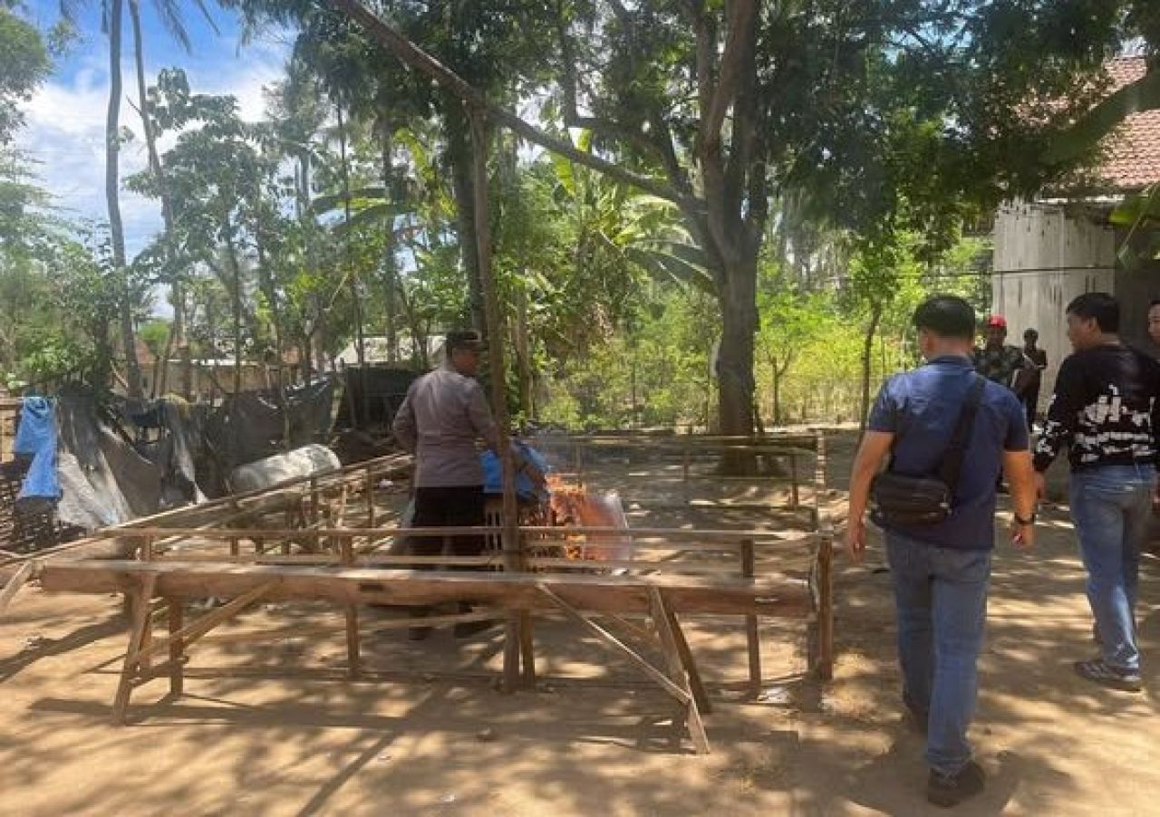 Pemusnahan barang bukti sabung ayam