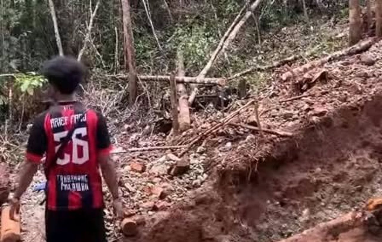 Lahan bekas tambang emas di Papua
