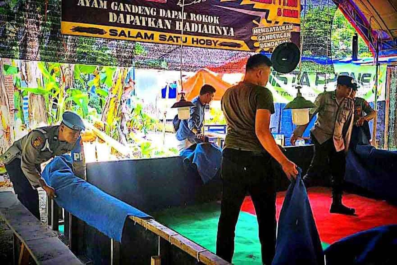 Arena sabung ayam di Pogalan dibongkar