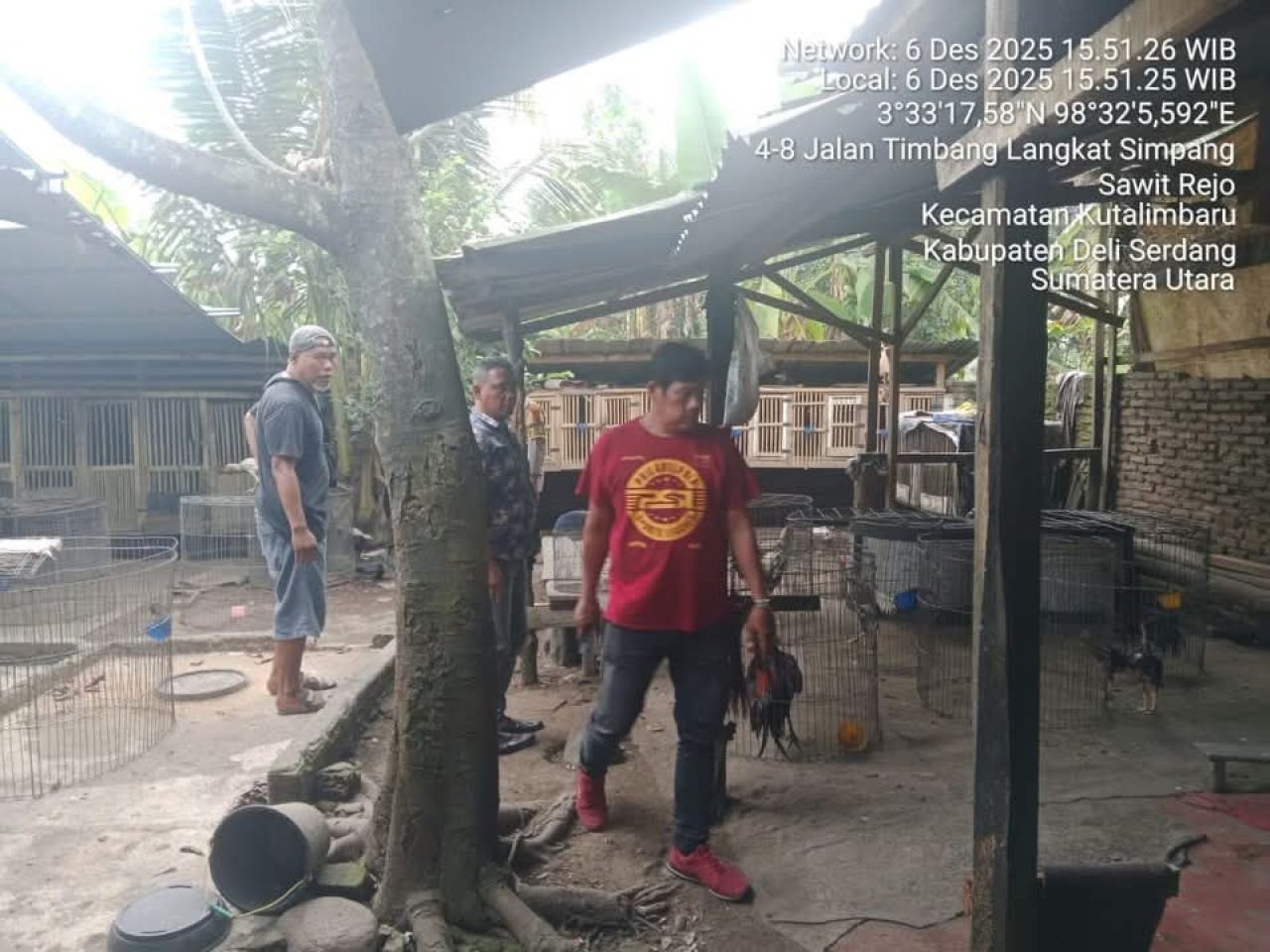 Petugas Polsek Kutalimbaru tertibkan sabung ayam