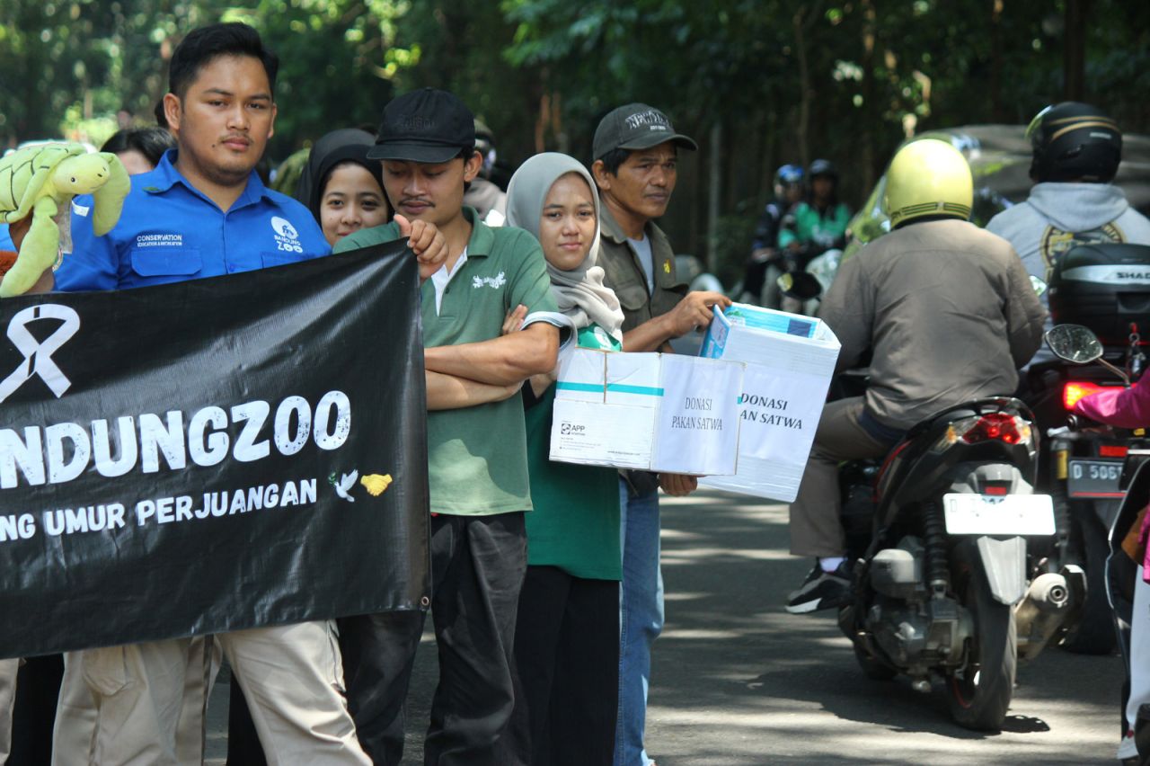 Staf Bandung Zoo mengamen untuk pakan satwa