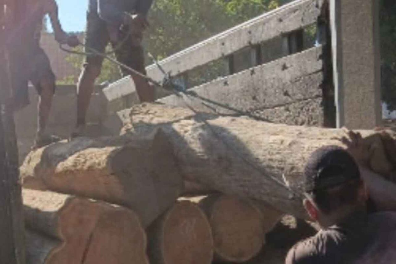 Kayu jati yang dicuri Heli Koptiono