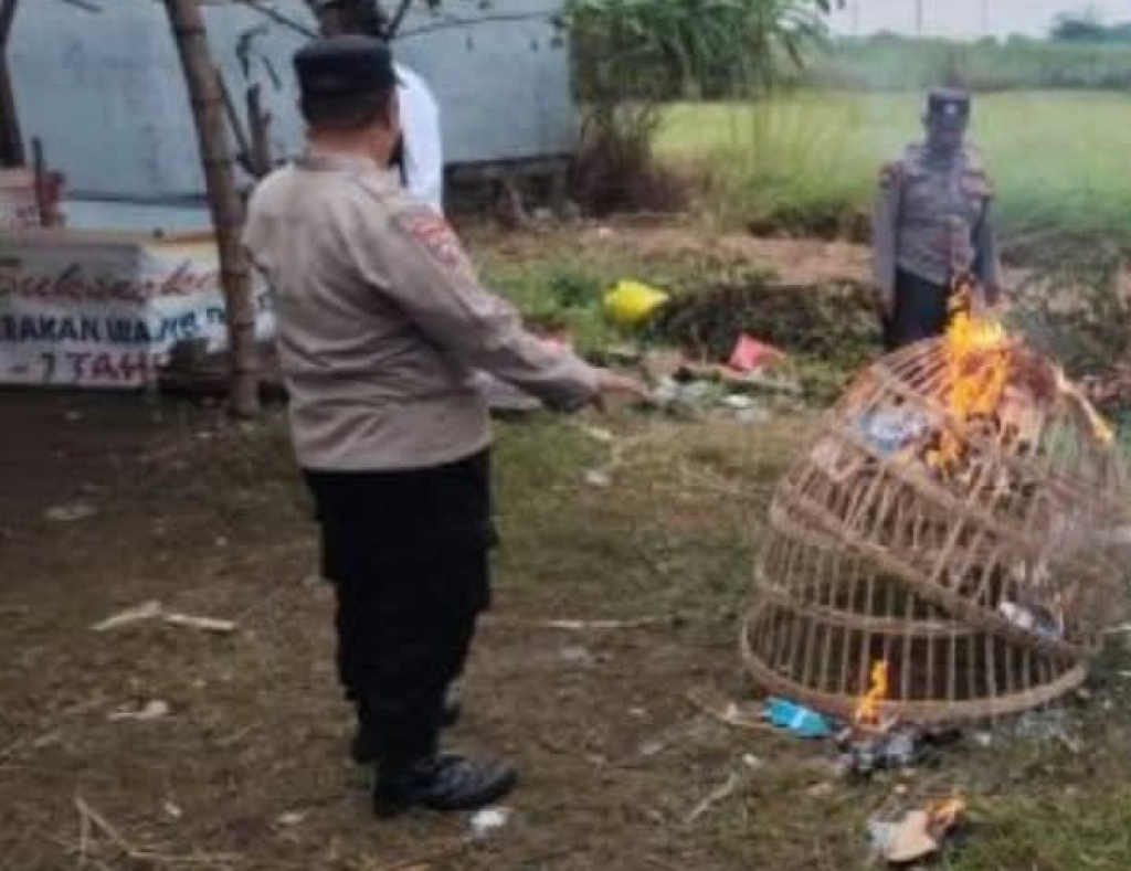 Petugas Polsek Tulangan bakar perlengkapan sabung ayam