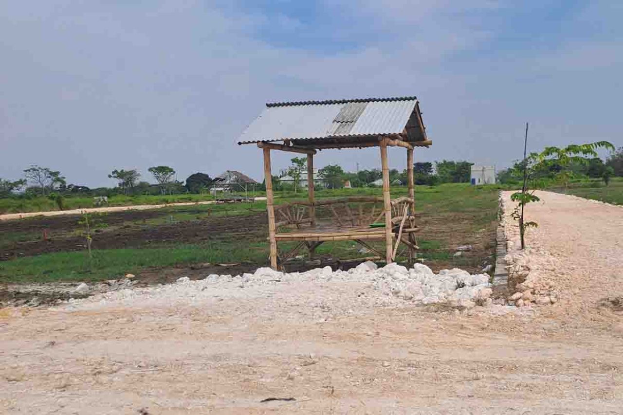 Alih fungsi lahan di Gresik jadi perumahan