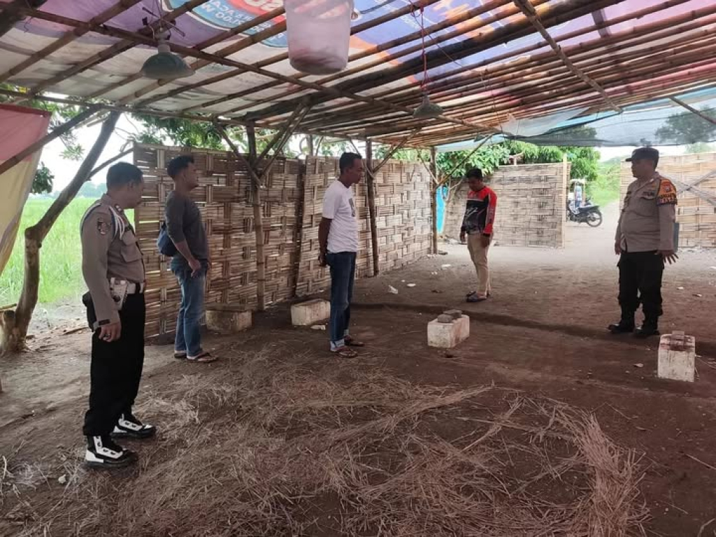 Personil Polsek Tulangan membongkar perlengkapan sabung ayam di Desa Kepadangan