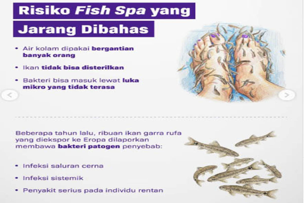 Apel Gelar Pasukan PAM VVIP Kunjungan Kerja (kunker) Wakil Presiden Indonesia K.H. Ma'ruf Amin