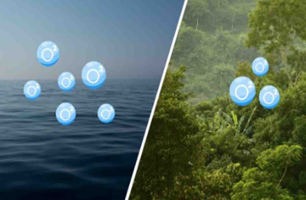 Oksigen di laut dan hutan