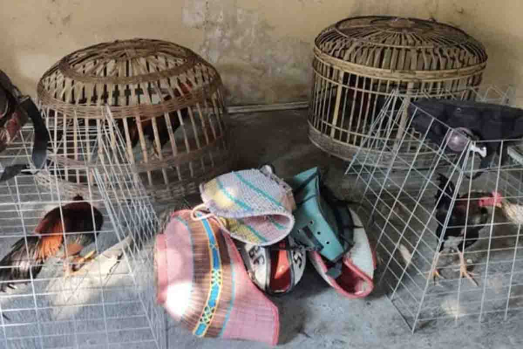 Barang bukti yang diamankan dari penggrebekan sabung ayam di Desa Moropelang