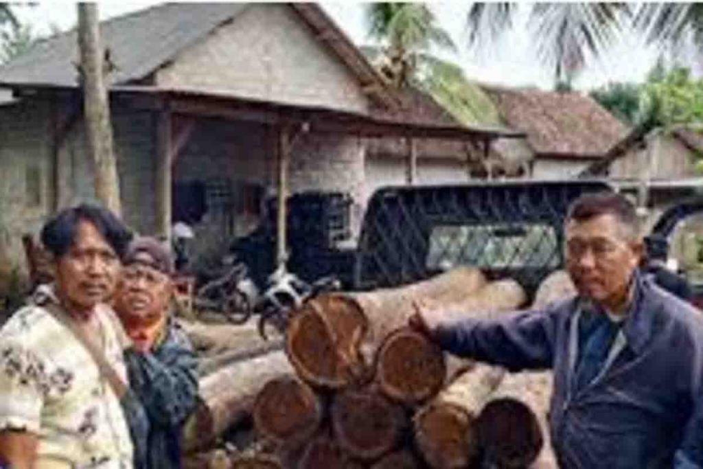 Kayu yang diamankan Polisi Hutan