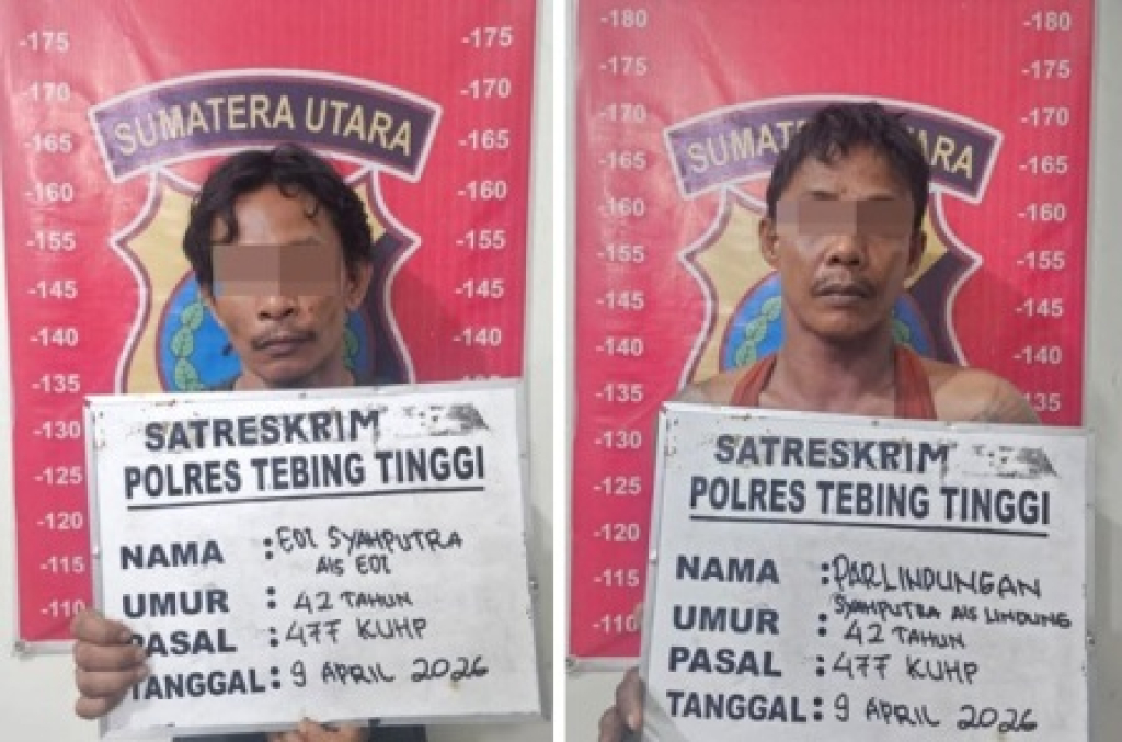 Dua pencuri sarang Burung Walet