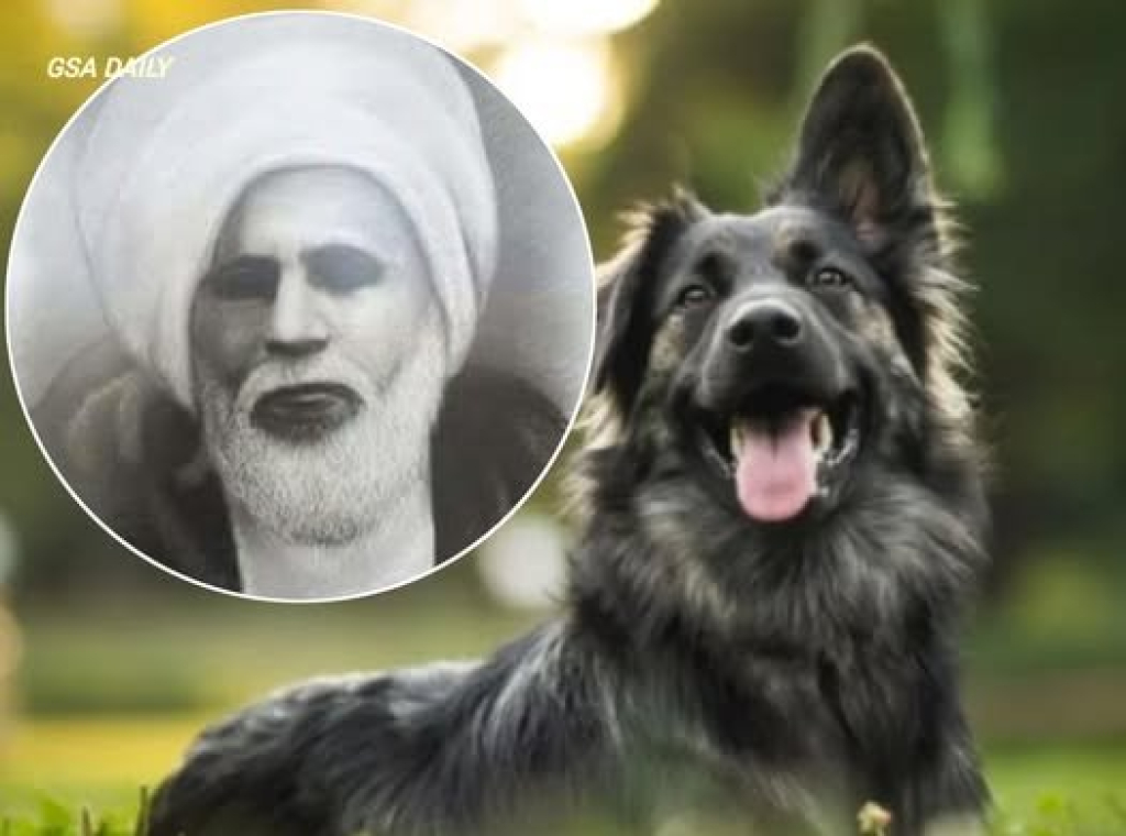 Foto ilustrasi anjing hitam dan kyai