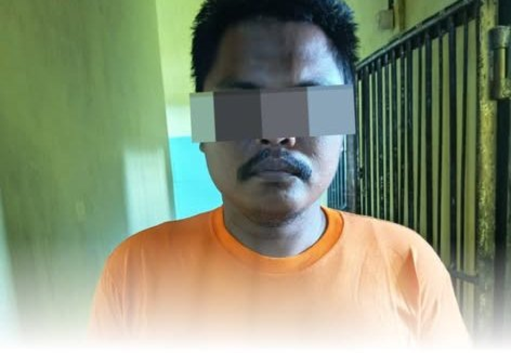 Pelaku berinisial DS