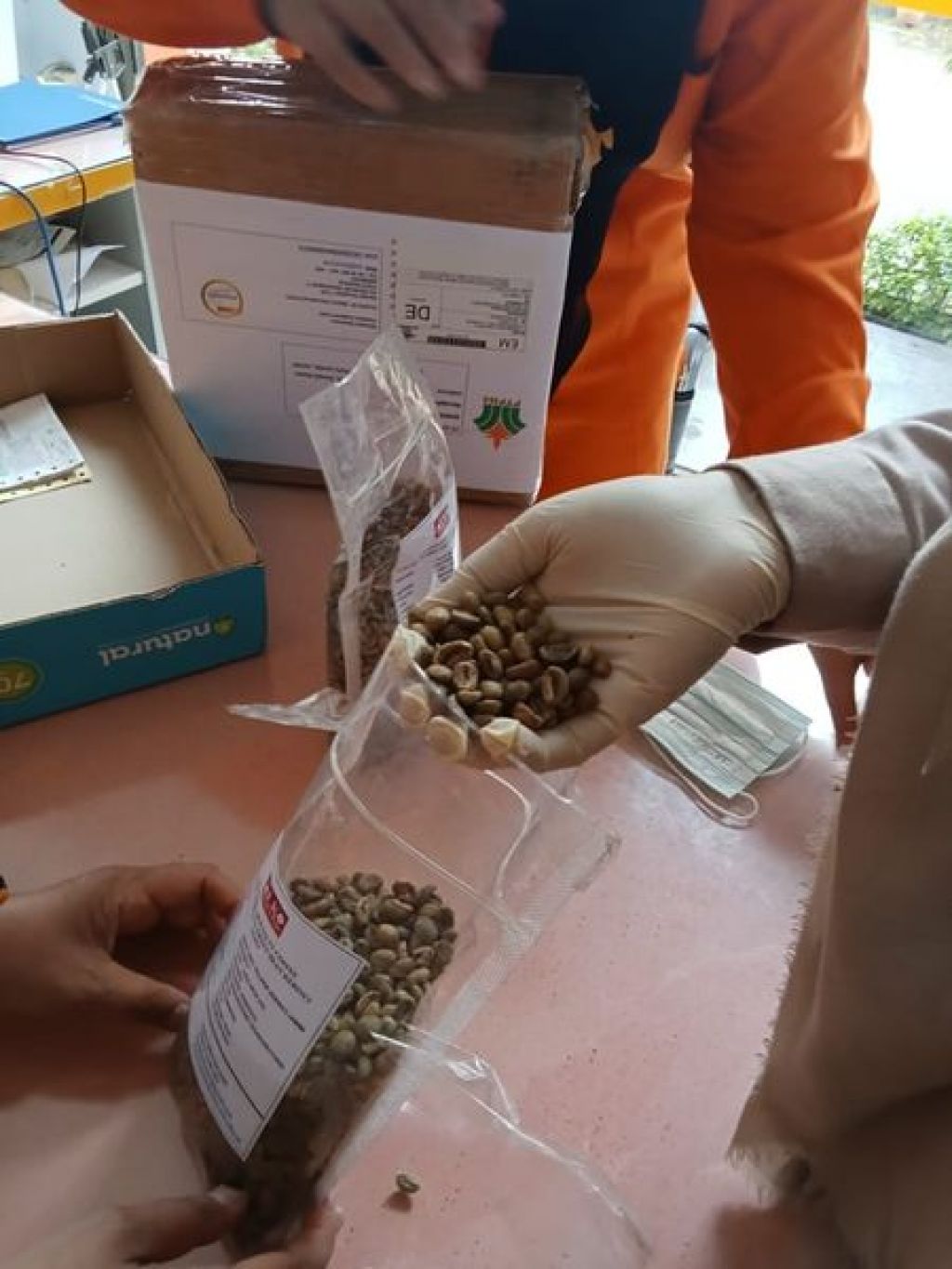 Sampel biji kopi liberika dan teh hitam