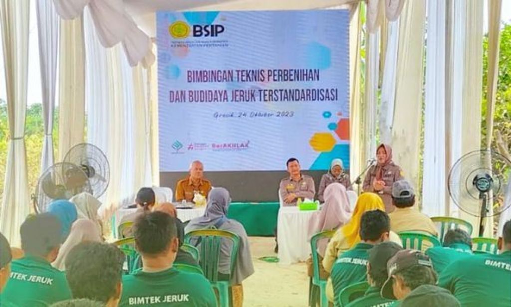 Kegiatan Bimbingan Teknis Perbenihan dan Budidaya Jeruk