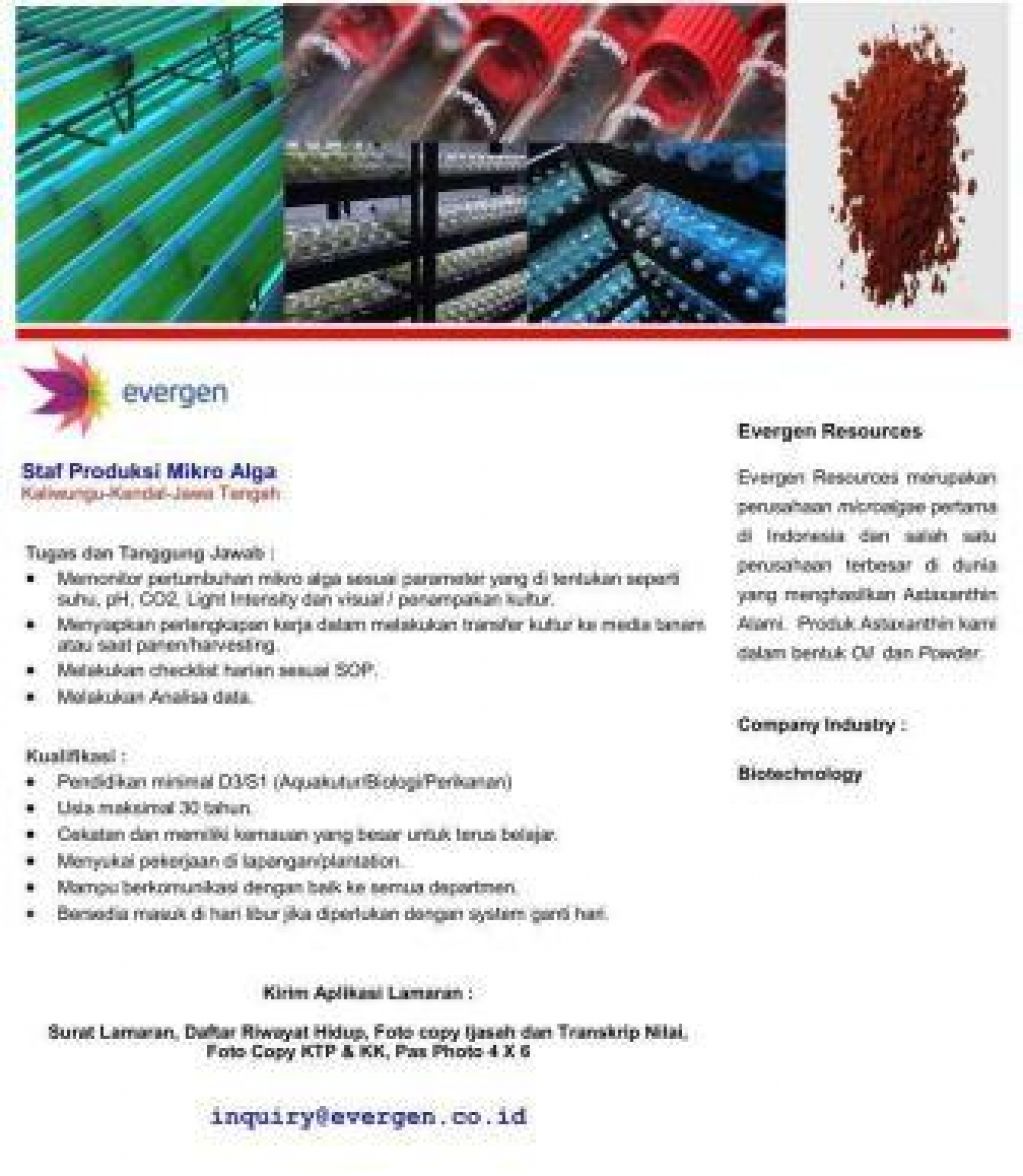 Lowongan kerja Evergen