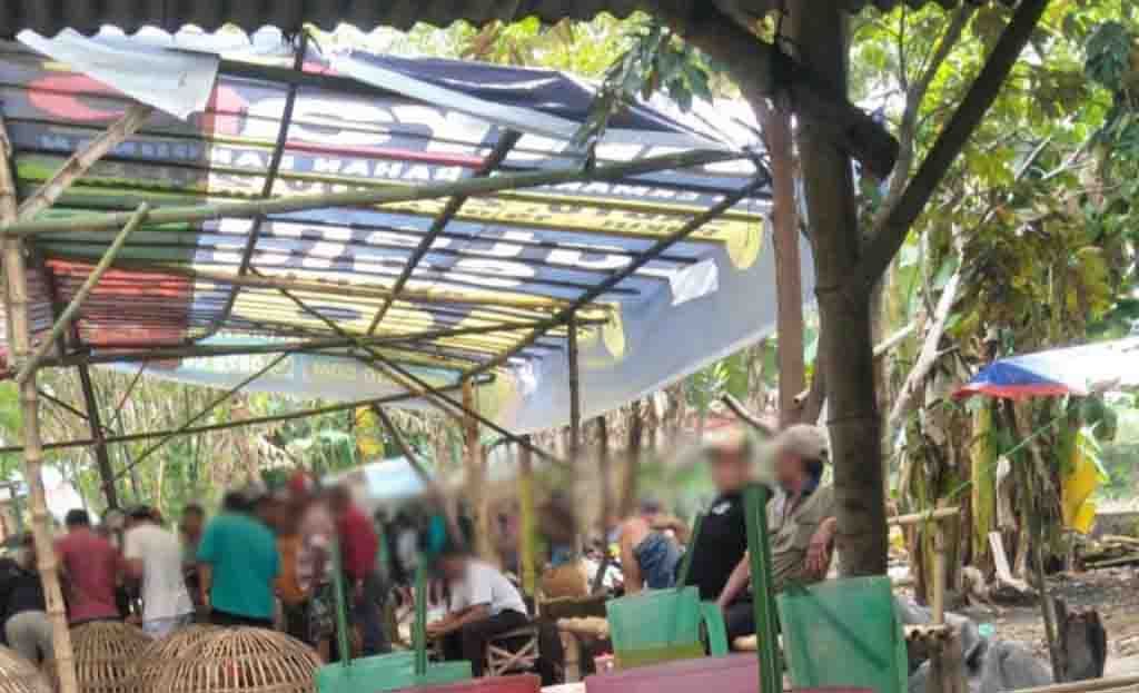 Judi sabung ayam di Dusun Gempol Gunting, Desa Gempol Klutu