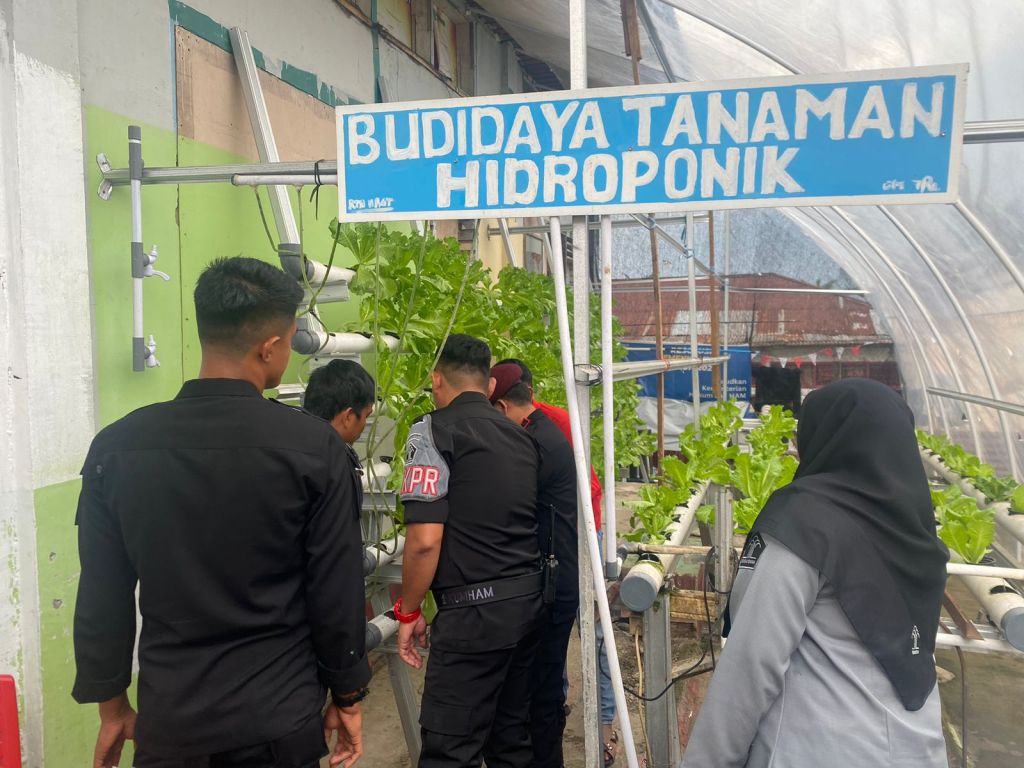 Panen sayur hidroponik