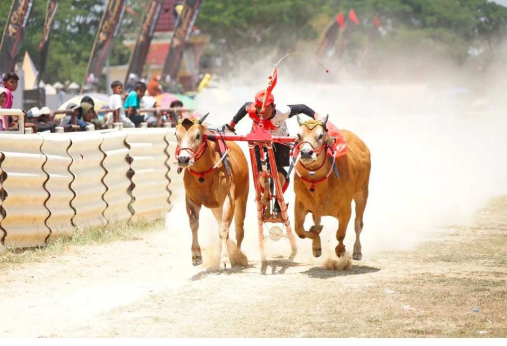 Kerapan Sapi memperebutkan Piala Bupati Bangkalan