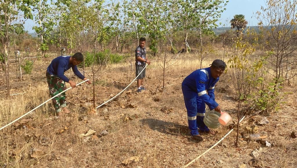 Para personel Lanudal Kupang dengan sabar rutin menyiram, beri pupuk dan merawatnya