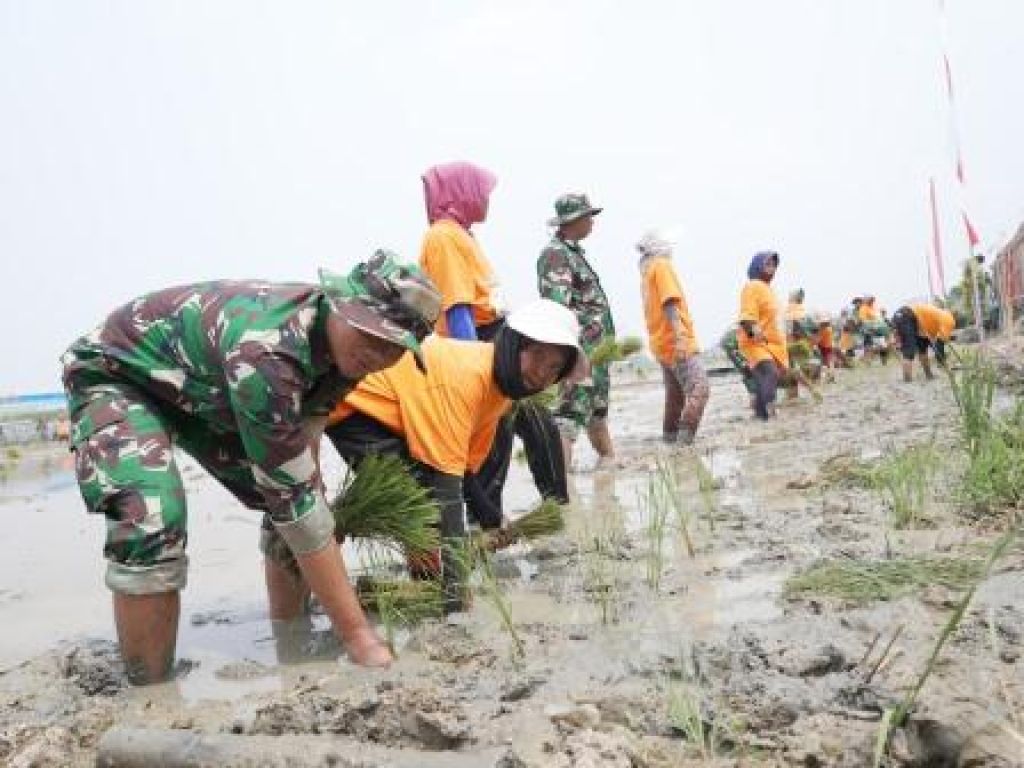 Gerakan Nasional Ketahanan Pangan di  Jajaran TNI