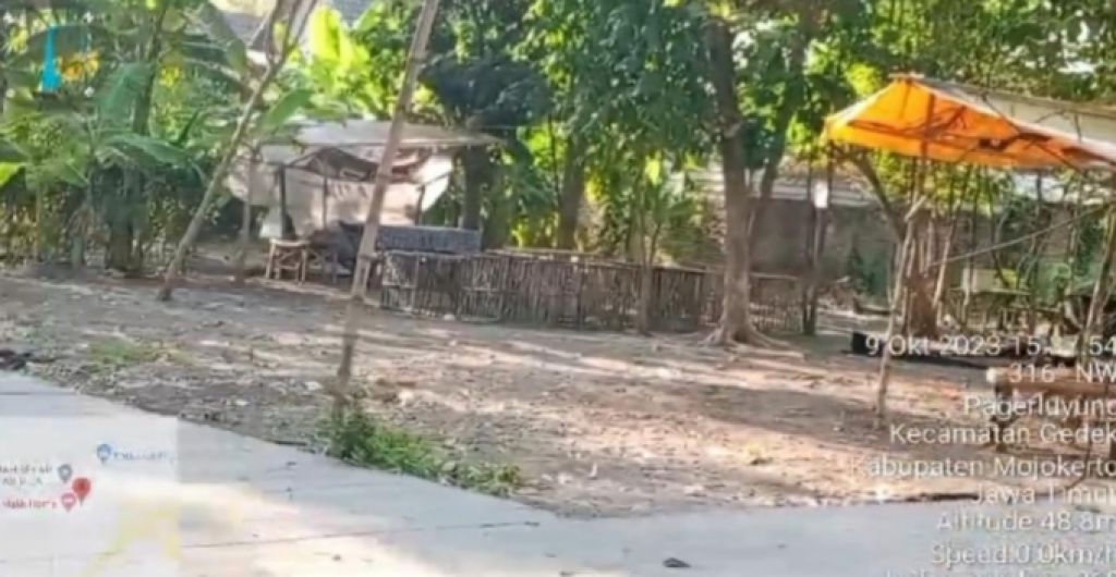 Arena sabung ayam di Desa Pagerluyung